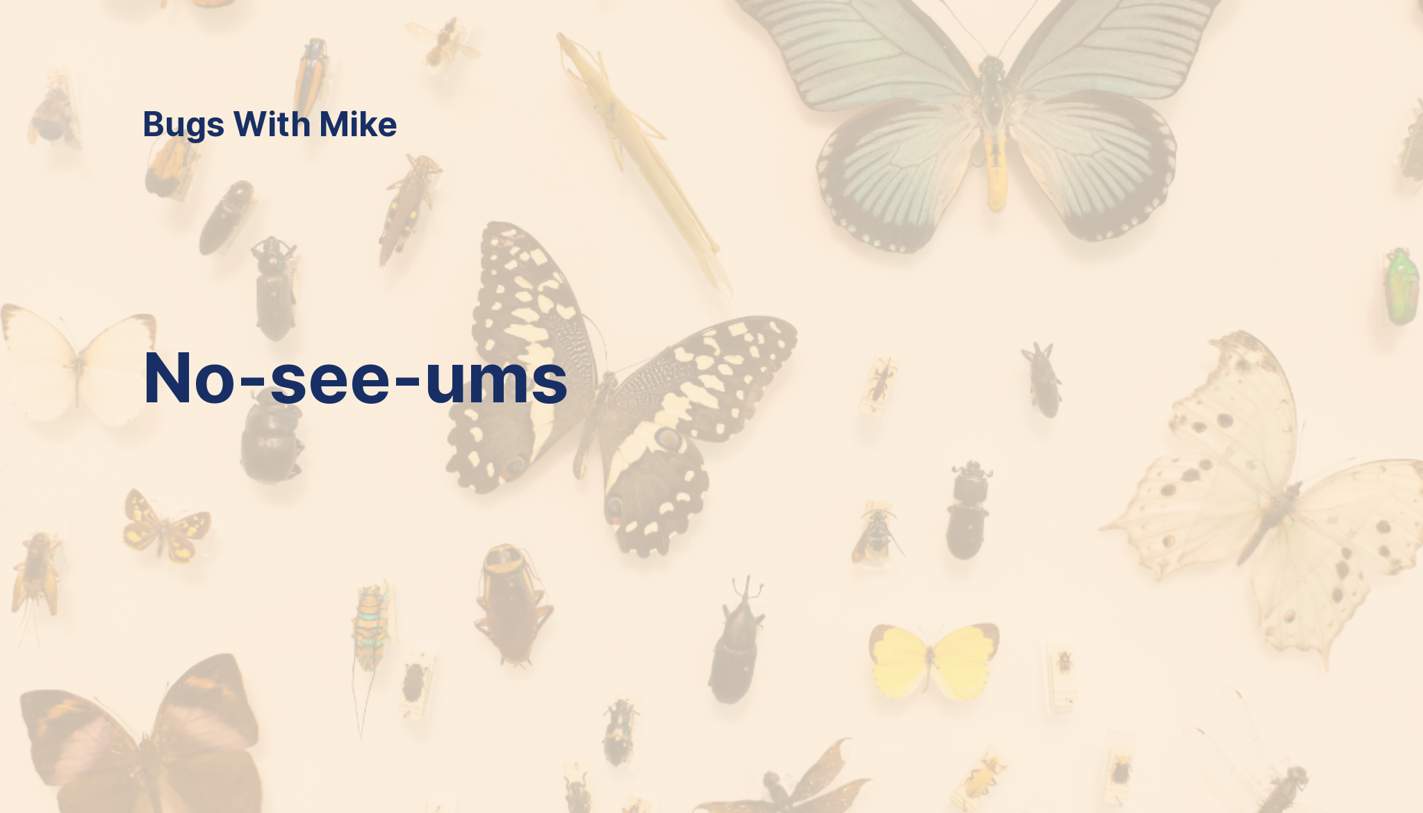 No see ums no-see-ums